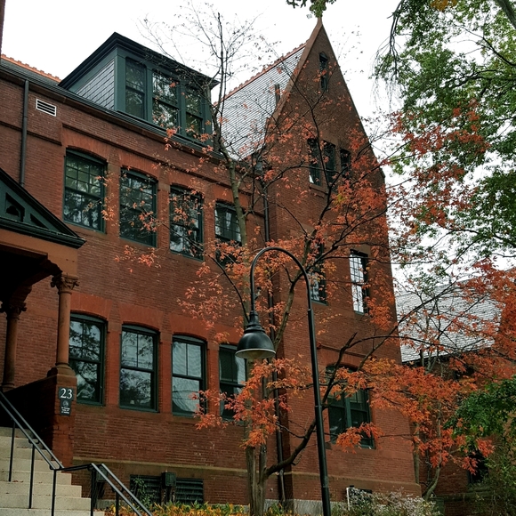 HALLπWEENπ§‘ Countdown! - Picture 13 of 16